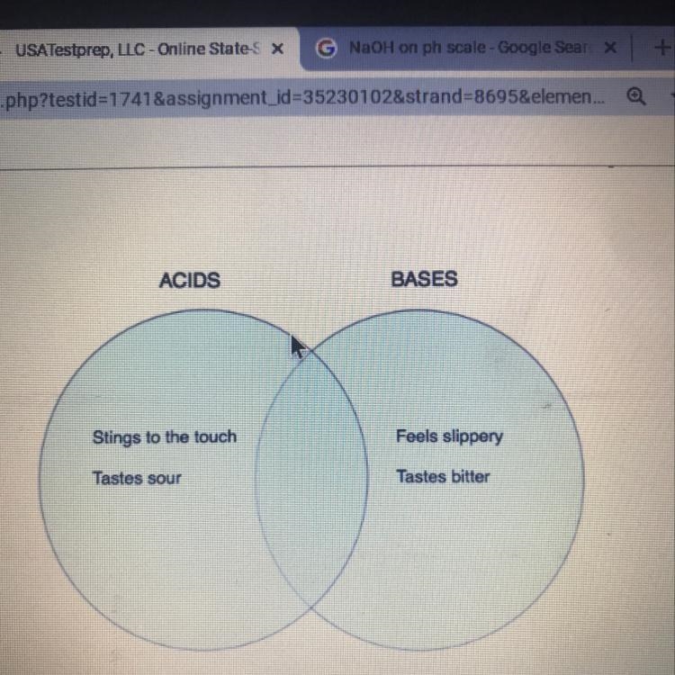 Which statement could only be accurately placed within the base circle? a. is common-example-1