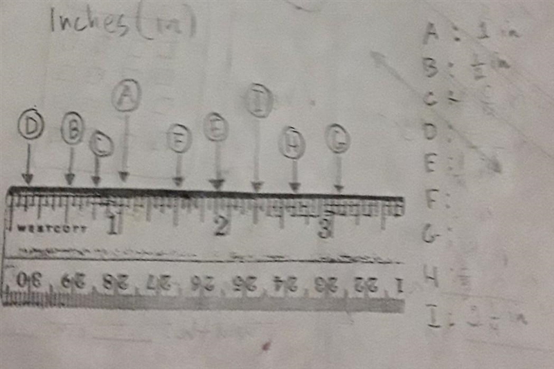 Can u read a ruler it's very hard-example-1