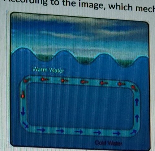 According to the image which mechanism is moving the water? wind convection Coriolis-example-1