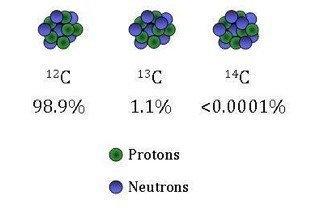 Illustrated here are three different __________ of carbon. They vary by the number-example-1