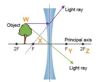 ((PLEAASSEE HELP ME)) A ray diagram is shown. Which letter represents the location-example-1