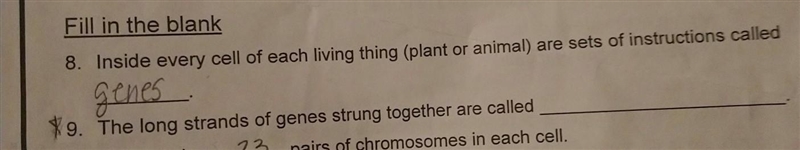 The long strands of genes strung together are called what'​-example-1