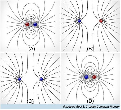 Which figure shows a correct pattern of field lines? A. figure A B. figure B C. figure-example-1