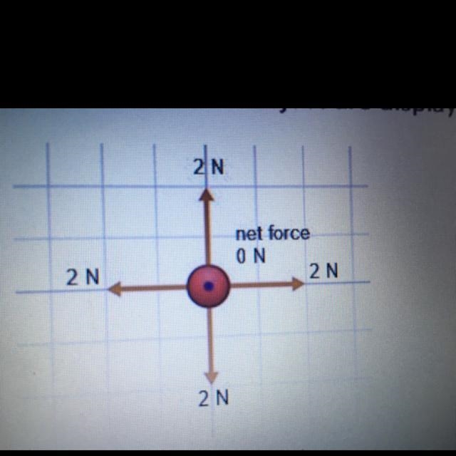 The forces on an object are displayed in the picture below; there is no net force-example-1