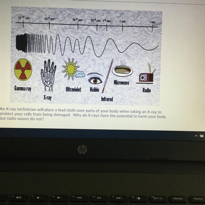 A Radio waves are shorter than x-rays and therefore weaker in strength B x-rays have-example-1