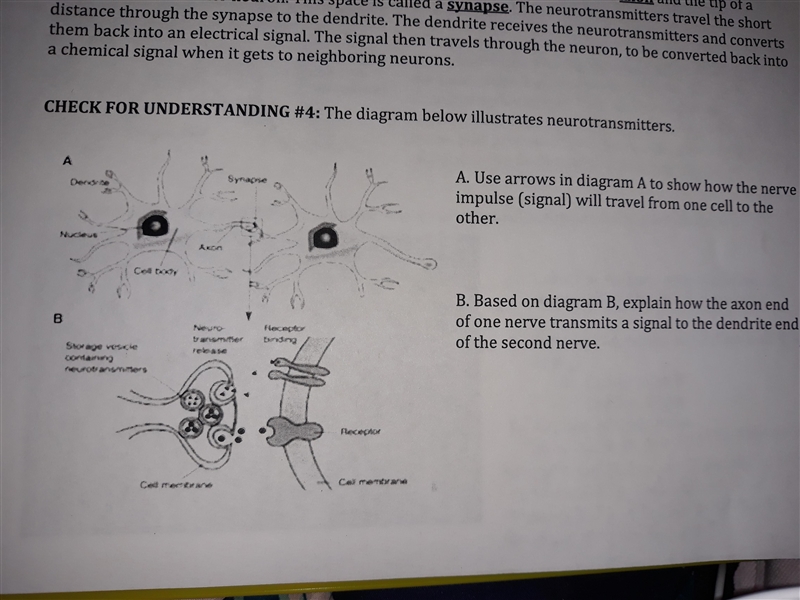 Can someone help me with this ? With only A, and B .-example-1