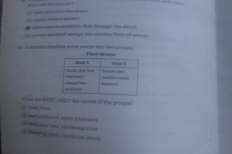 A scientist classifies some plants into two groups Which are MOST LIKELY the names-example-1