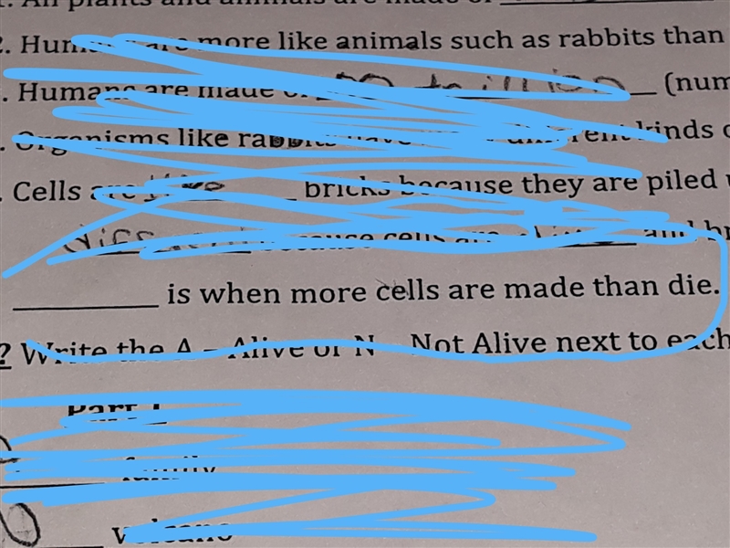 Blank space is when more cells are made than die ​-example-1