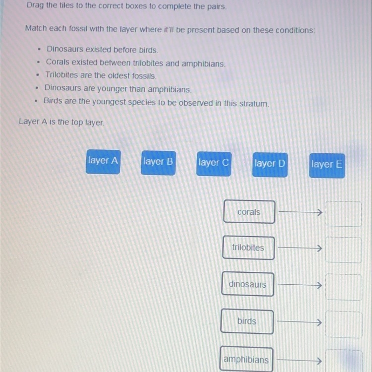 Match each fossil with the layer where it’ll be present based on those conditions-example-1