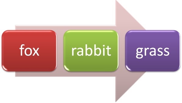 These three organisms are interdependent on each other for their survival. What will-example-1