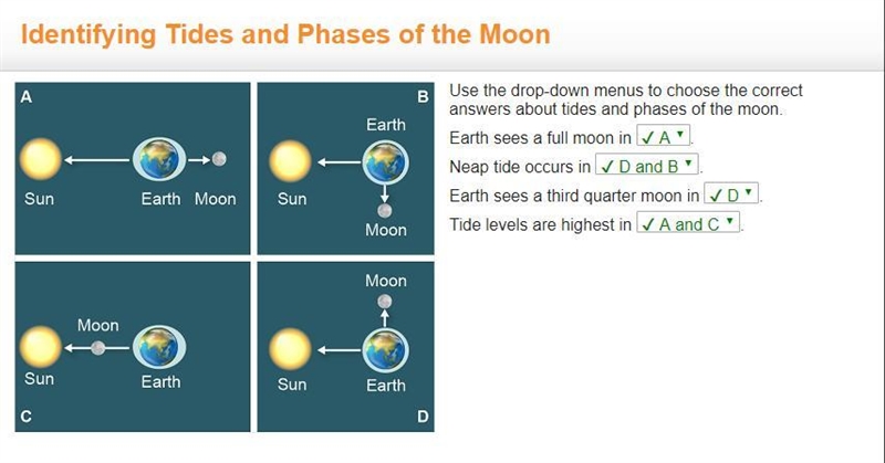 Use the drop-down menus to choose the correct answers about tides and phases of the-example-1