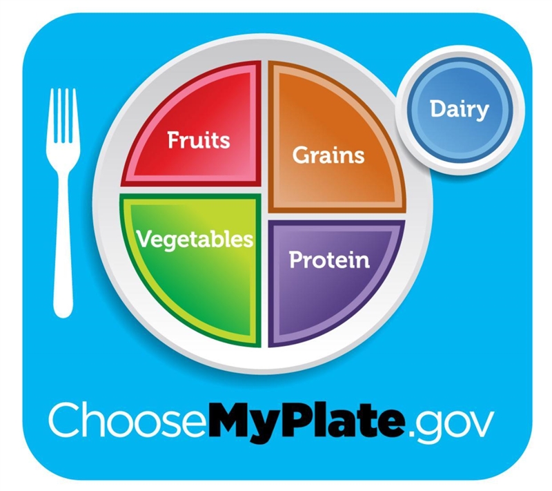 What are the five categories of my plate-example-1