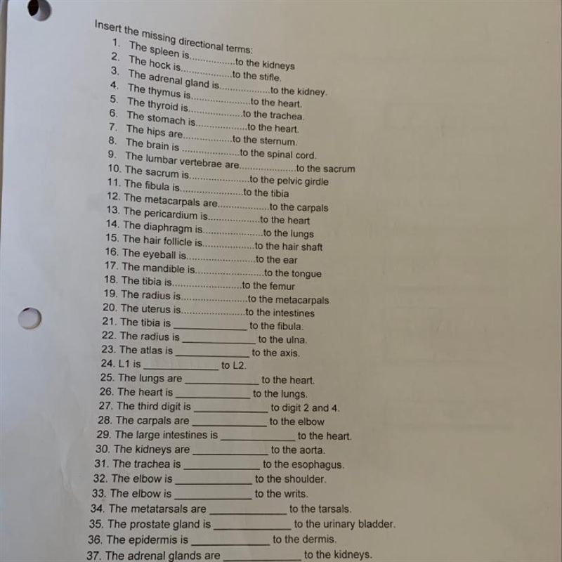 I need help with the directional terms and 38.)the maxilla is_____ to nasal cacity-example-1