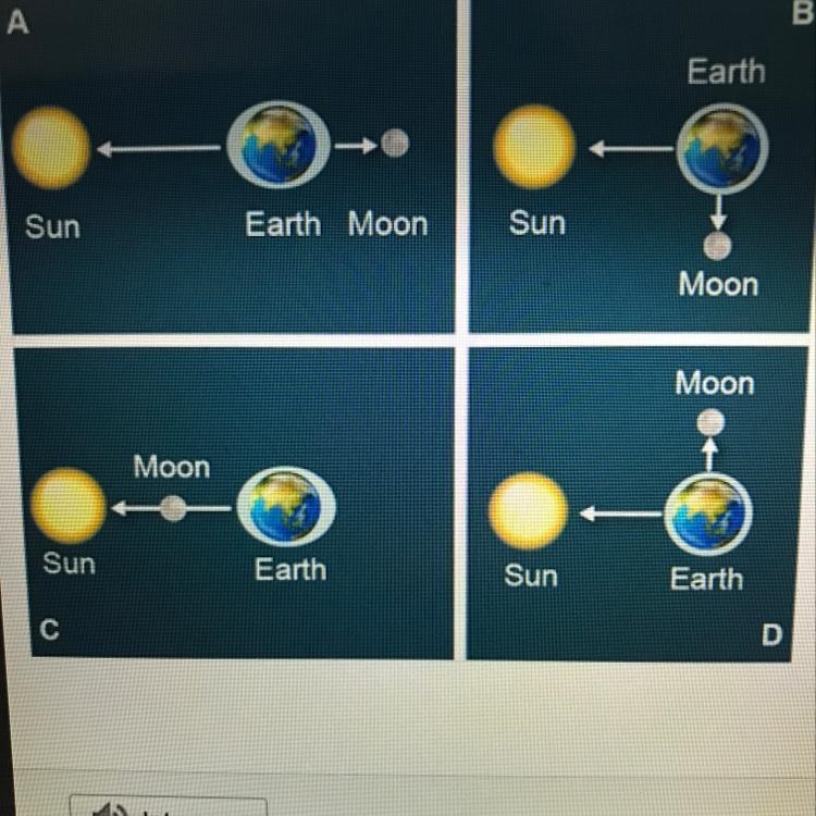 Use the drop-down menus to choose the correct answers about tides and phases of the-example-1