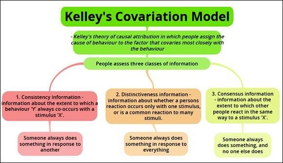 Which of the following best describes the difference between distinctiveness and​ consistency-example-1