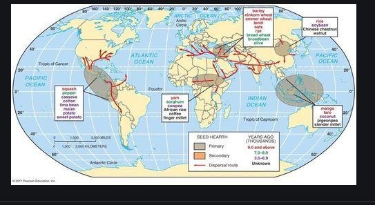 Using the above map, observe that:______ a. maize, potatoes, squash, and peppers were-example-1