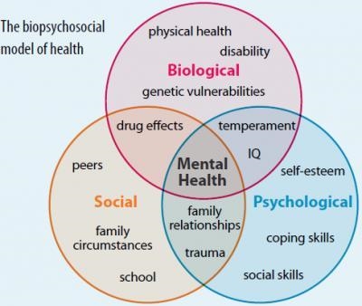 An integrated understanding of associative learning in terms of genetic predispositions-example-1