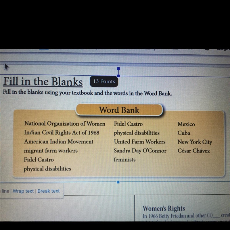 Fill in the blank with the answer please Question: In 1966 Betty Friedan and other-example-1