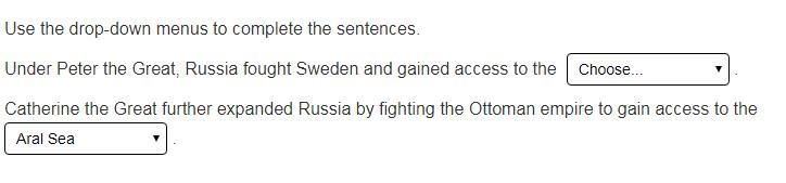 Under Peter the Great, Russia fought Sweden and gained access to the _____. Catherine-example-1