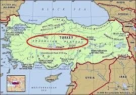 Where is the Anatolian Plateau located on a map? (Please load a map and circle exactly-example-1