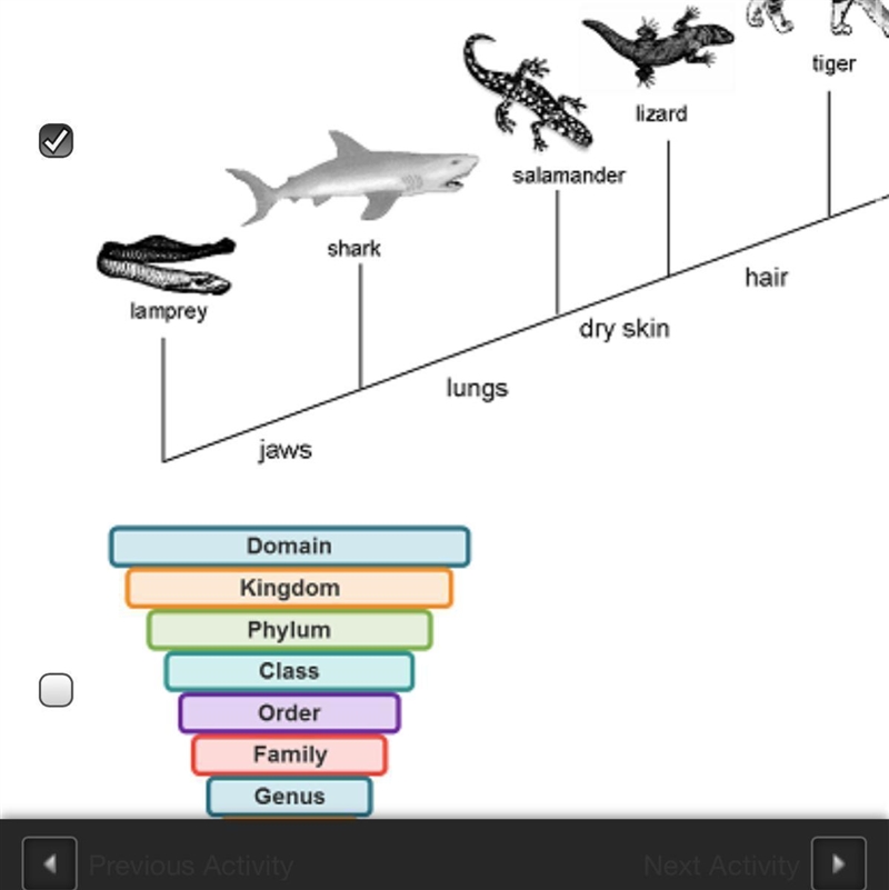 Which diagrams are dichotomous keys?-example-1