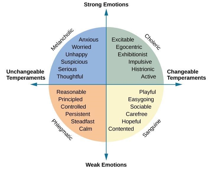 Everyone has a personality _____. that is stable and unchanging. that is unstable-example-1