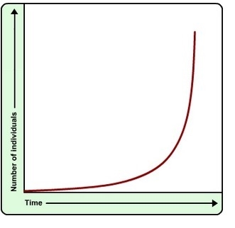 What is true of the population shown in this graph? A. The population is not changing-example-1