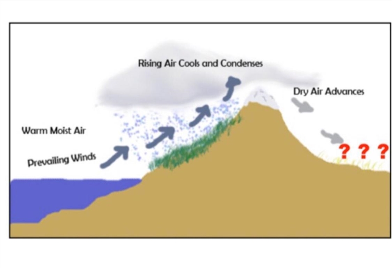 What term should replace the question marks on this graph? A) slip stream B) rain-example-1