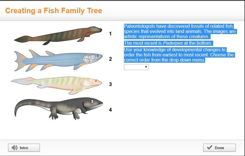 Paleontologists have discovered fossils of related fish species that evolved into-example-1