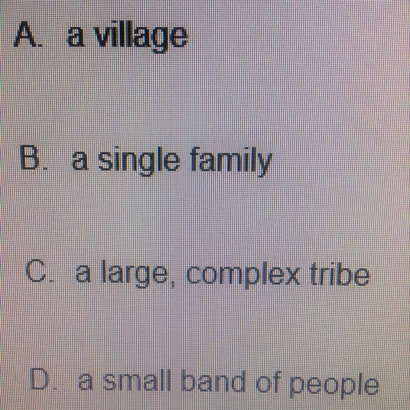 Which of the following was the main unit of society in early Stone Age culture-example-1