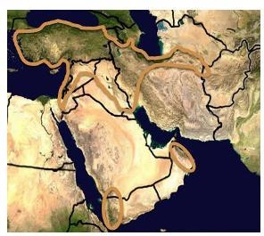 Hurrry plzzz 16 pointsssss Which major economic activity in the Middle East occurs-example-1