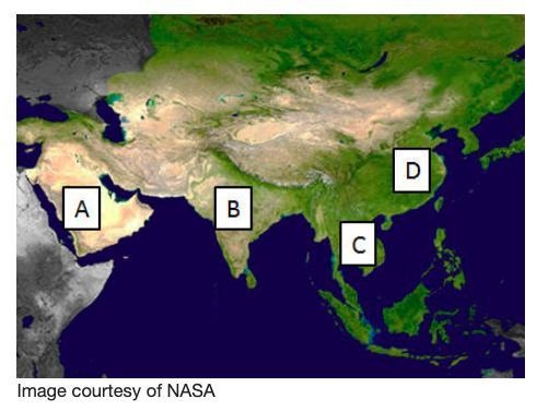 30 PTS ASAP!!! Which letter on the map above represents the Indian Subcontinent? A-example-1