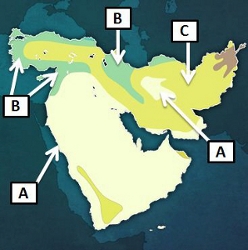 On the map above, areas along the coast are colored green (Letter B). What type of-example-1