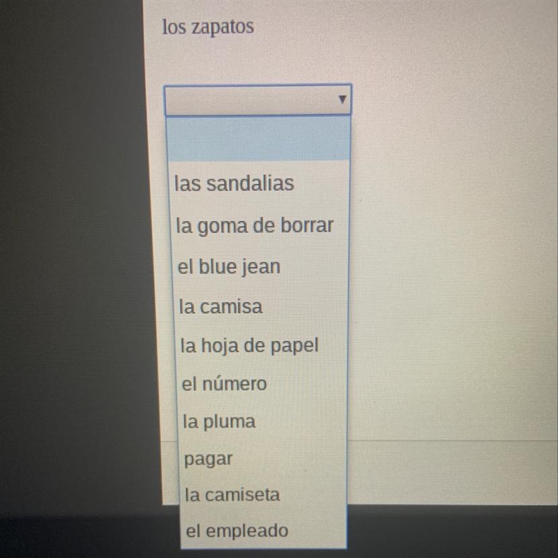 Please select the word from the list that best fits the definition. Los zapatos-example-1