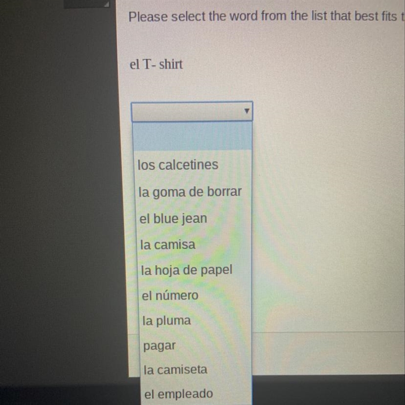Please select the word from the list that best fits the definition. El T-shirt-example-1