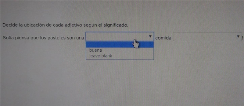 Decide la ubicación de cada adjetivo según el significado. comida Sofía piensa que-example-1