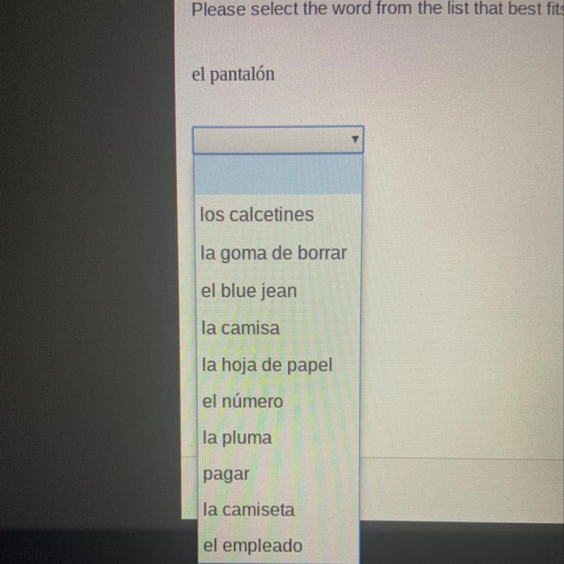 Please select the word from the list that best fits the definition. El pantalón-example-1