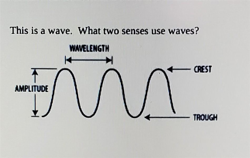 This is a wave. What two senses use waves? ​-example-1