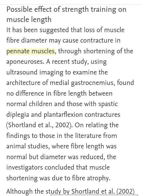 How long have pennate muscles been studied, how were they discovered, when and who-example-2