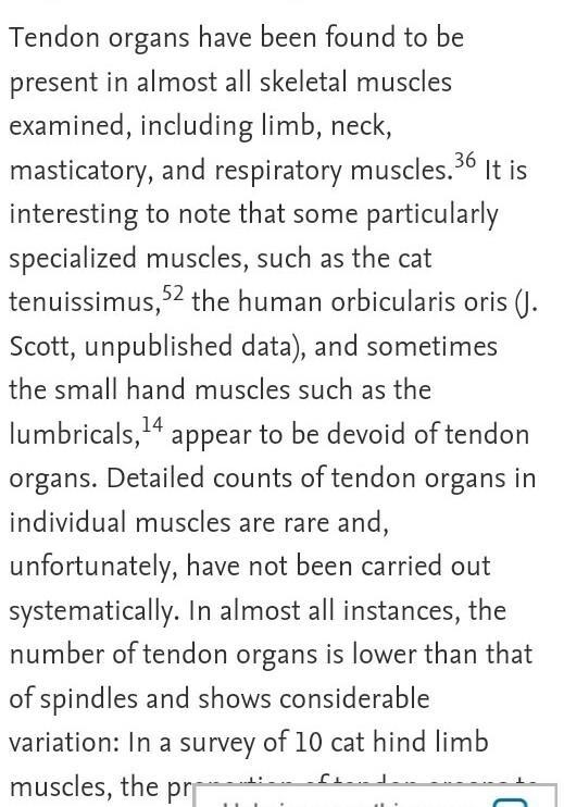 How long have pennate muscles been studied, how were they discovered, when and who-example-5