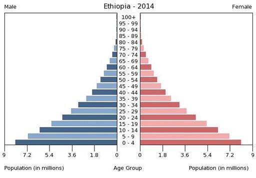 What does an expansive population pyramid look like-example-1