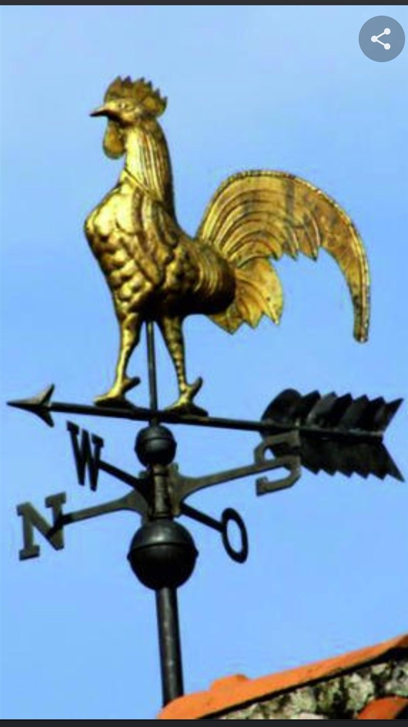 Please answer these questions. 1. What is a wind vane? 2. Types of wind vane. 3. Uses-example-1