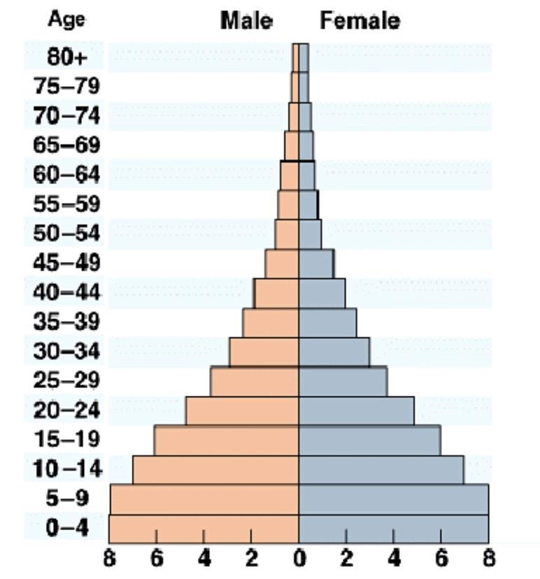 What does an expansive population pyramid look like-example-1