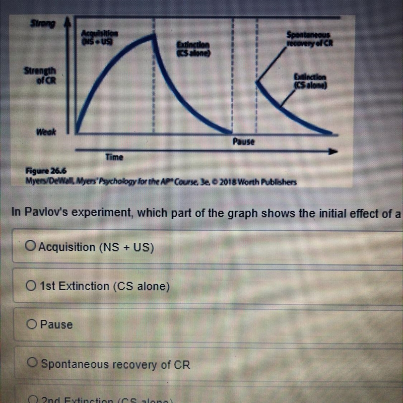 Look carefully at the graph provided: Strong Acquisition INSUS) Spontaneous recovery-example-1