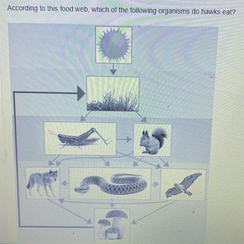 Please help, I don’t understand-example-1