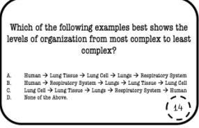 Which of the following examples best shows the levels of organization from most complex-example-1