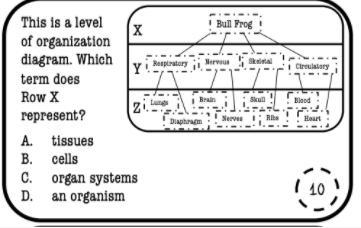 This is a level of organization diagram.Which term does row x represent?-example-1