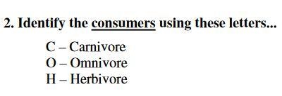 Identify the consumers using these letters...-example-1