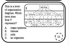 This is a level of organization diagram.Which term does row Y represent?-example-1