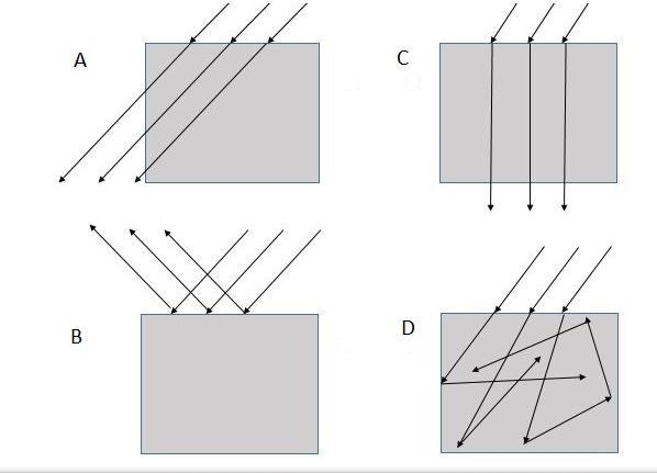 Which diagram provides the best example of absorption? A B C D-example-1